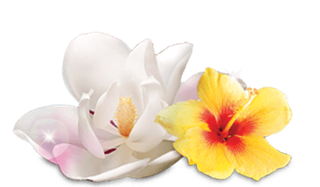 Air Wick Floral Fragrances